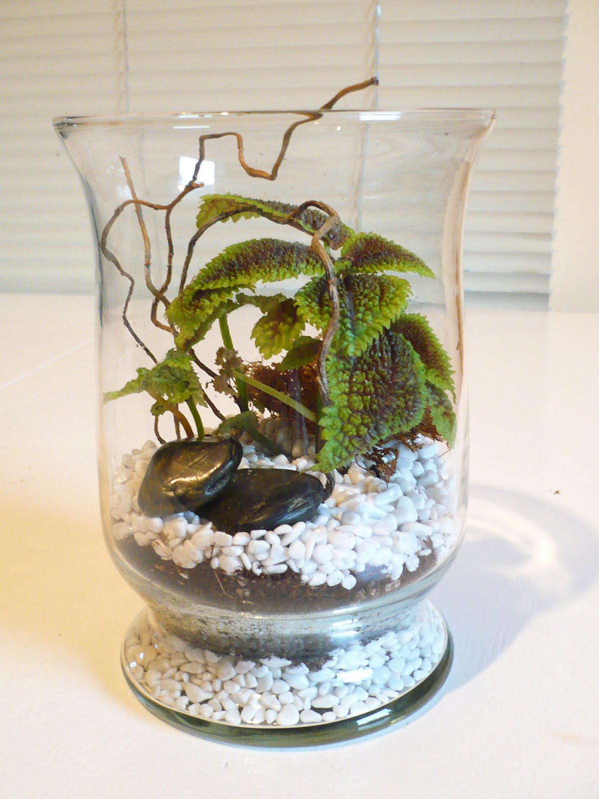 Lusa Mae Terrariums Custom Wedding Order