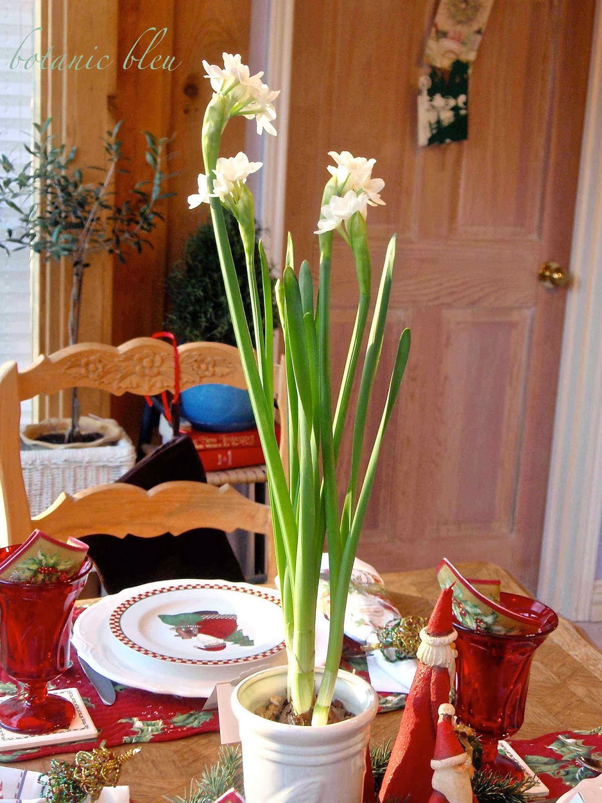 Botanic Bleu Santa Is Coming Soon...