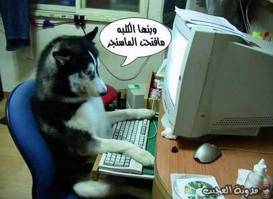 ههههههههههه %D8%B5%D9%88%D8%B1+%D9%85%D8%B6%D8%AD%D9%83%D8%A9