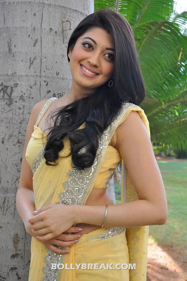 Pranitha posing in a light yellow sari with silver border - Pranitha yellow sari latest photoshoot pics