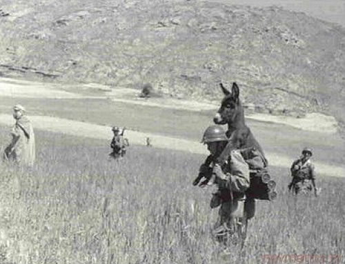 [Bild: man-carrying-donkey.jpg]