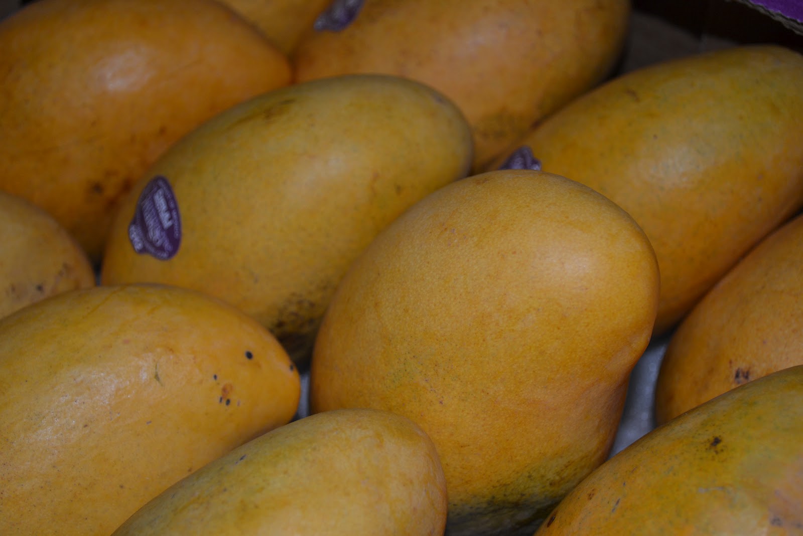 Spice Up your Life Mangoes from Mexico