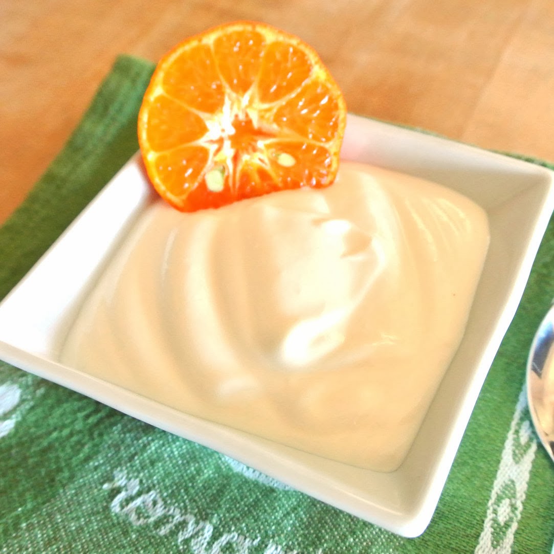 Mom, What's For Dinner? Orange Creamsicle Sugar Free Greek Yogurt