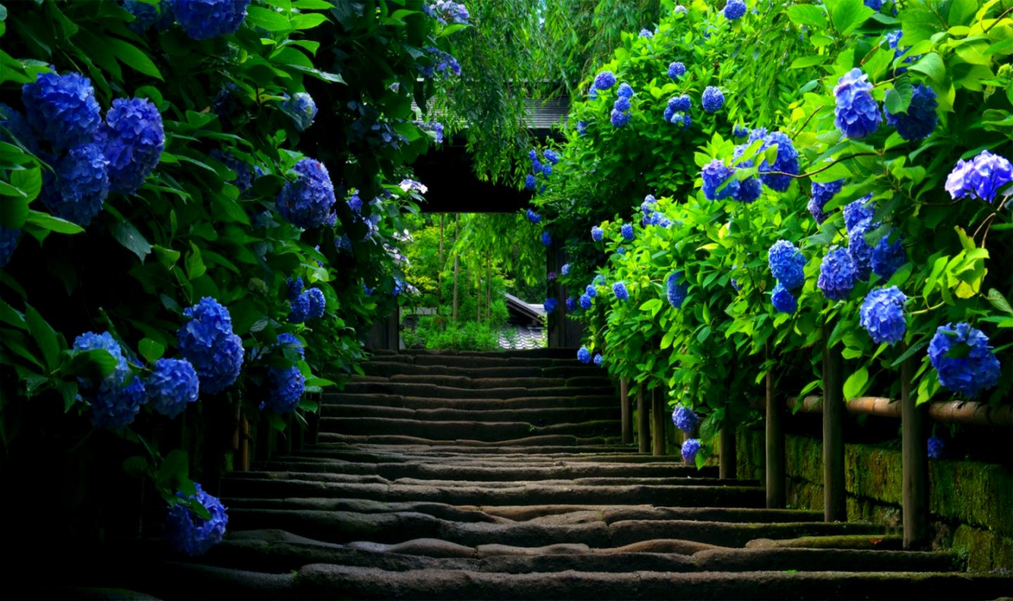 Beautiful Desktop Nature Beautiful Desktop Nature