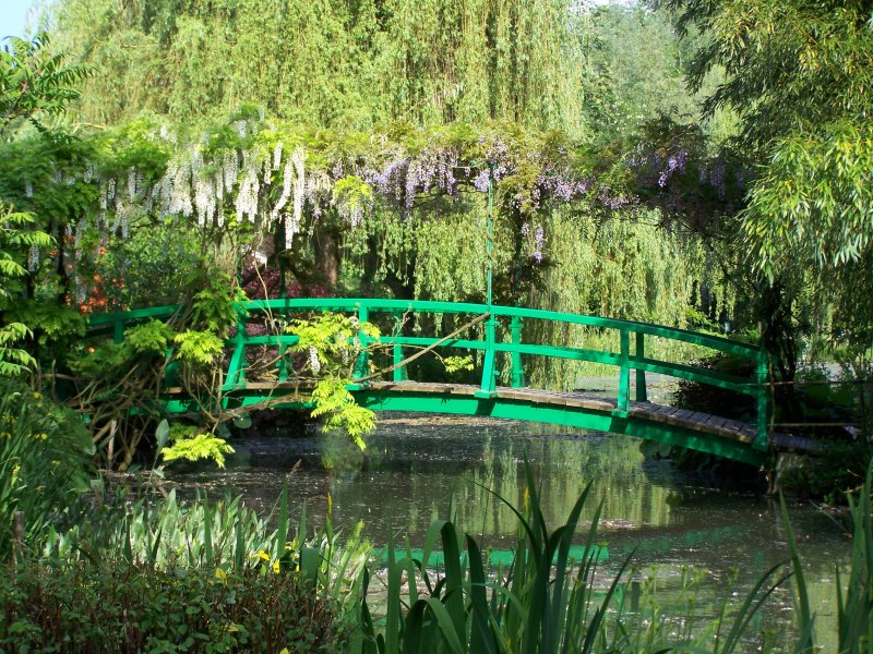 Ciao Domenica: Monet's Garden Today