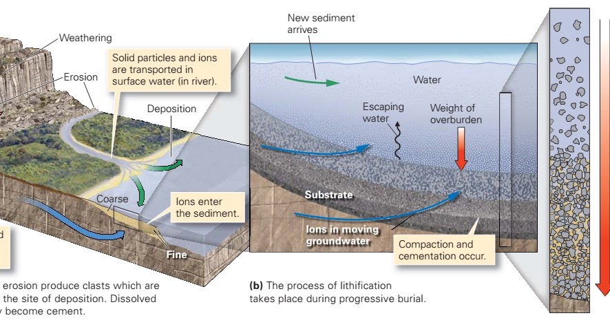 deposition of sediments diagram