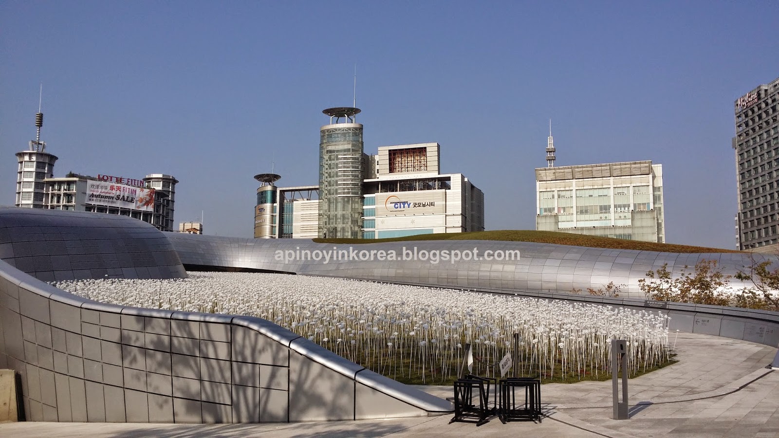 A Pinoy In Korea Dongdaemun S 20 000 White Flowers Garden By Day Dongdaemun S 20 000 White Flowers A Garden By Day Galaxy Of Stars At Night