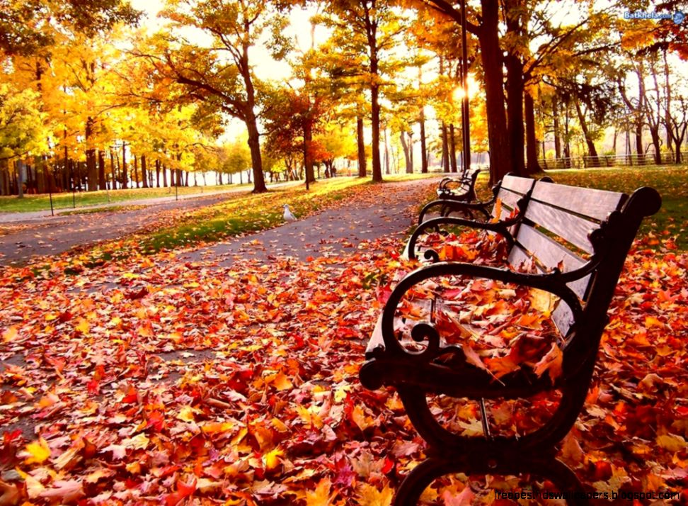 A Stock Photos Nice Wallpapers Pretty Backgrounds Cool Wallpapers A Stock Photos Nice Wallpapers Pretty Backgrounds Cool Wallpapers