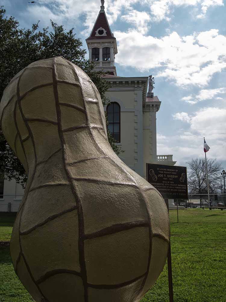 Wednesday, Feb. 20 — Floresville, TX My Daily Photo Walk