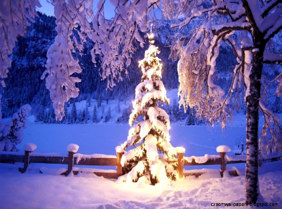 Winter Christmas Snow Scenes Wallpaper Winter Christmas Snow Scenes Wallpaper