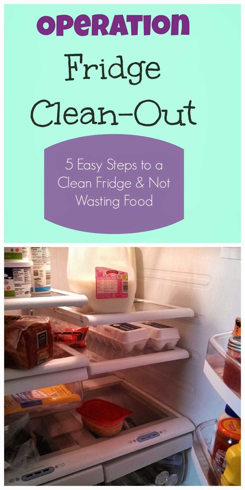 Ally's Sweet and Savory Eats: Operation Fridge Clean-Out: 5 Easy Steps ...