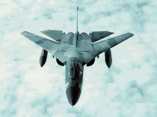 F-111 Aardvark Tactical Fighter Bomber