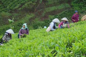 Pentingnya Kaum Produsen dalam Sebuah Negara