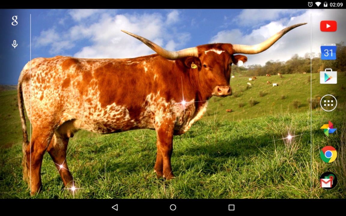 Bulls Live Wallpaper Android Apps and Tests AndroidPIT Bulls Live Wallpaper Android Apps and Tests AndroidPIT