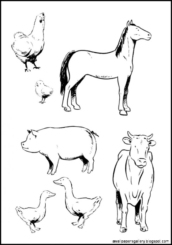 14 farm animals coloring pages Printable and Colors 14 farm animals coloring pages Printable and Colors