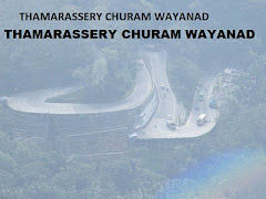 THAMARASSERY CHURAM