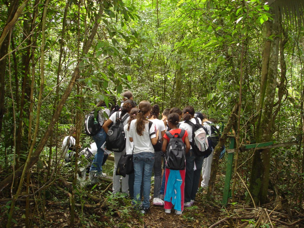 Educação nas escolas