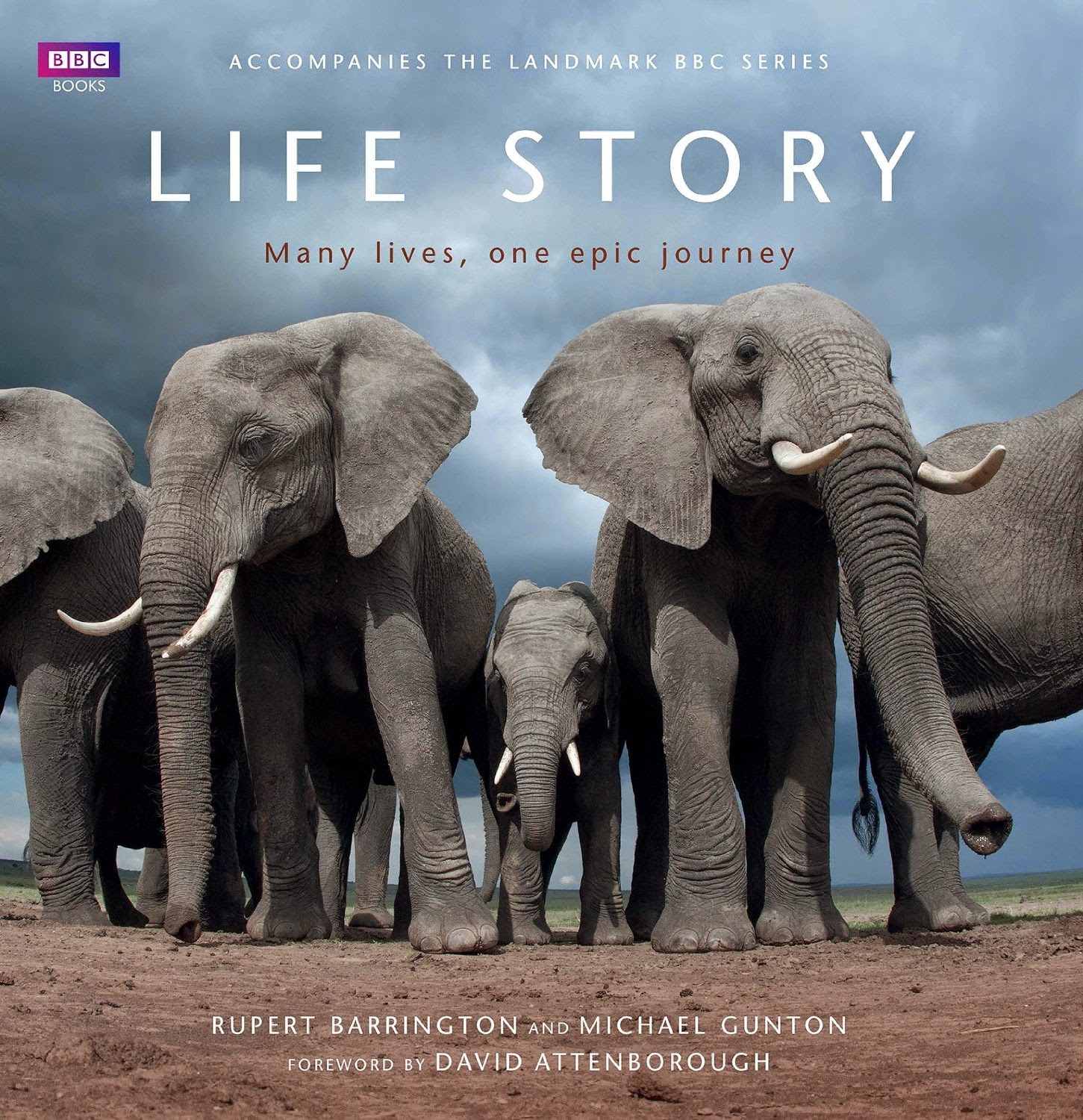 BBC Books Life Story David attenborough, Life stories