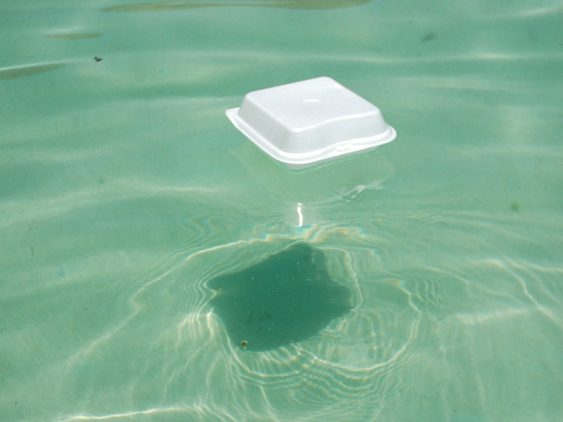 Impact of Using Styrofoam Keep Our Earth Now