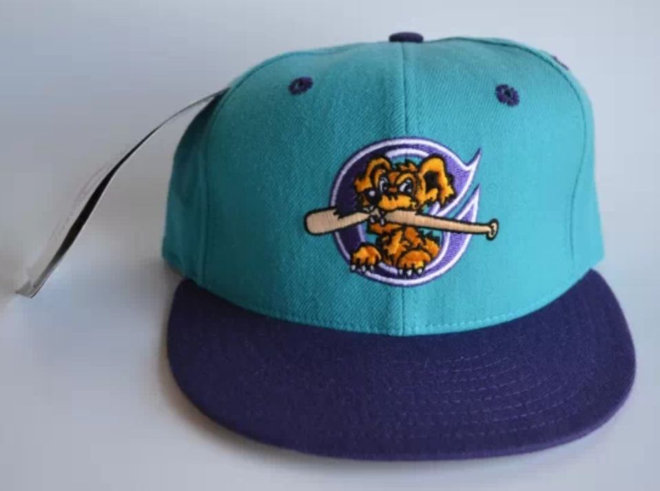 Mid1990's Charleston RiverDogs cap Fresh Fitted Friday!!!!