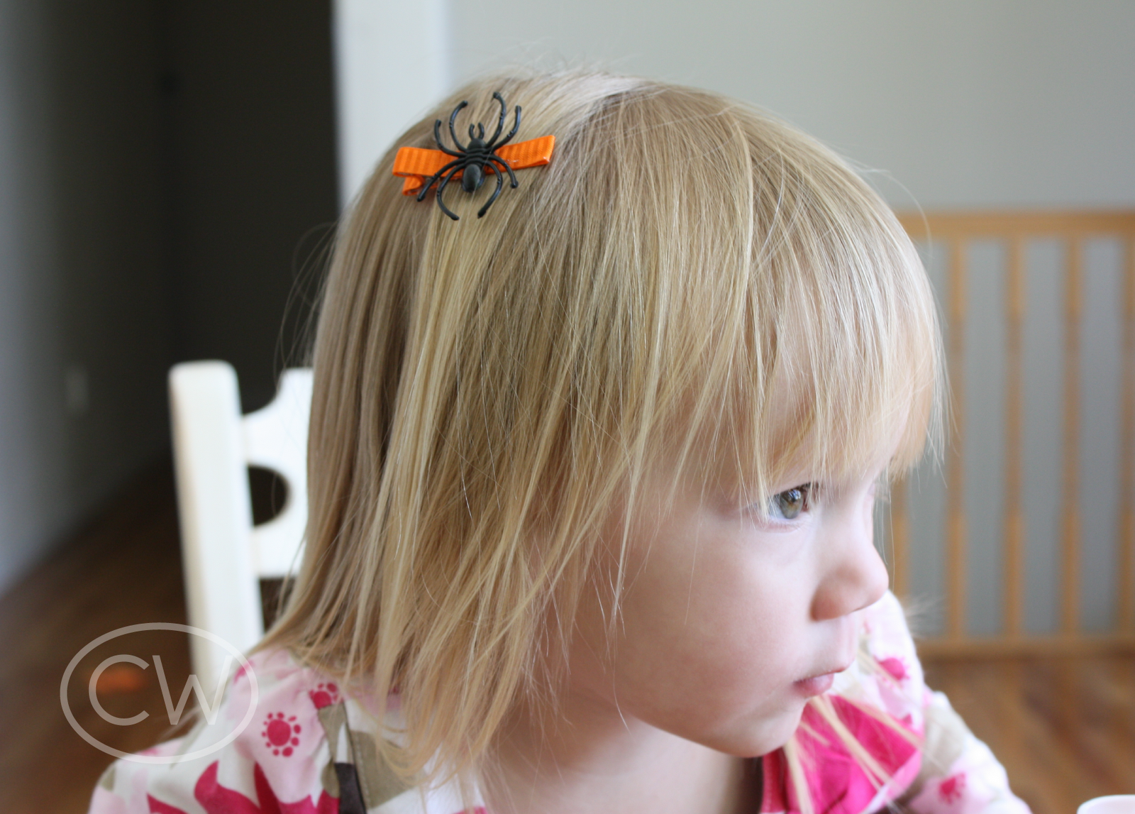 christina williams Halloween Hair Clips