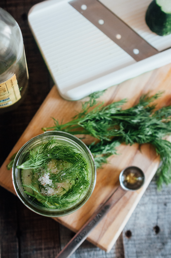 Sweet Treats food, photography, life Refrigerator Pickles (AIP, Low