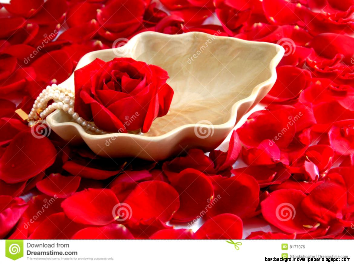 Beauty Fashion Model Woman With Red Rose Flower Stock Photo Beauty Fashion Model Woman With Red Rose Flower Stock Photo
