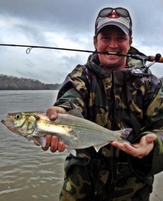 Today on the James: Secrets of the James - Warm Winter Brings Shad