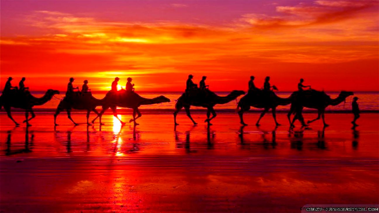 Romantic Sunset wallpapers Crazy Frankenstein Romantic Sunset wallpapers Crazy Frankenstein