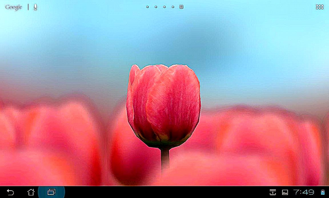 3D Tulip Live Wallpaper Free Android Apps on Google Play 3D Tulip Live Wallpaper Free Android Apps on Google Play