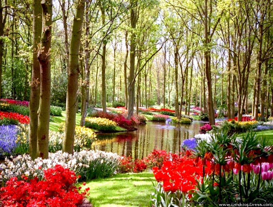 Desktop Wallpapers » Natural Backgrounds » Garden and Flowers Desktop Wallpapers » Natural Backgrounds » Garden and Flowers