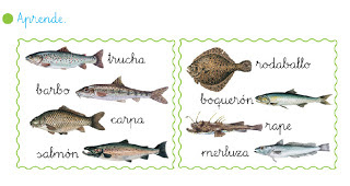 http://anabastida.es/onewebmedia/tipos-peces.swf