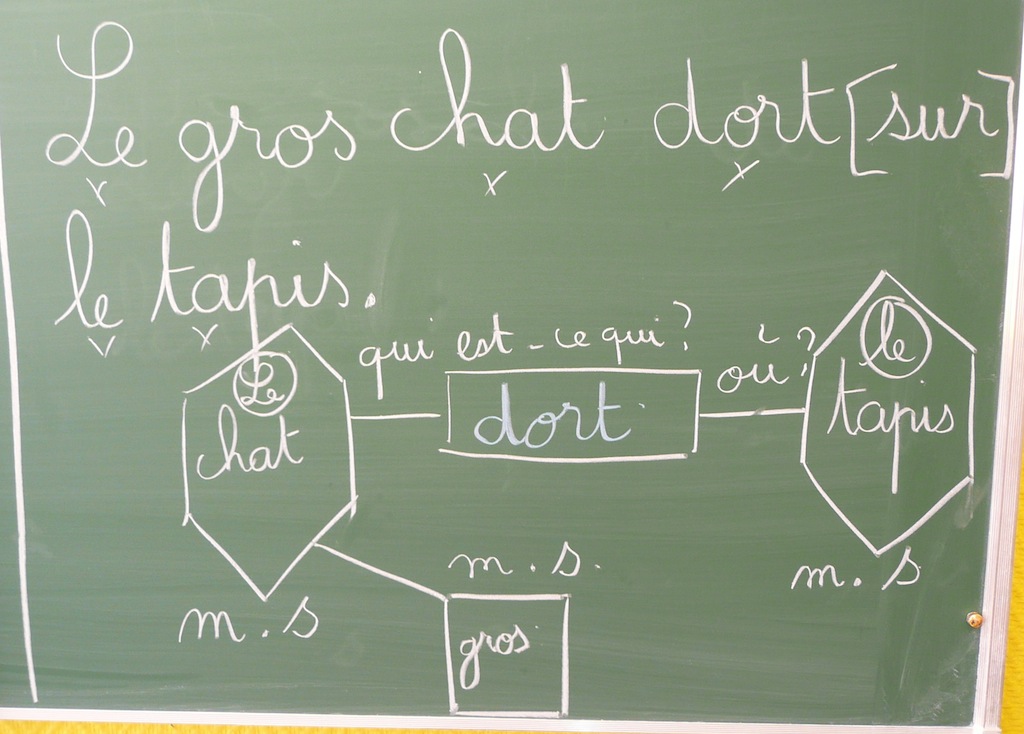 calculer l age d un chat