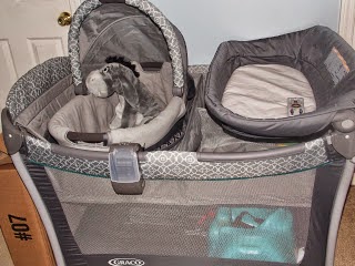 graco day2night sleep system