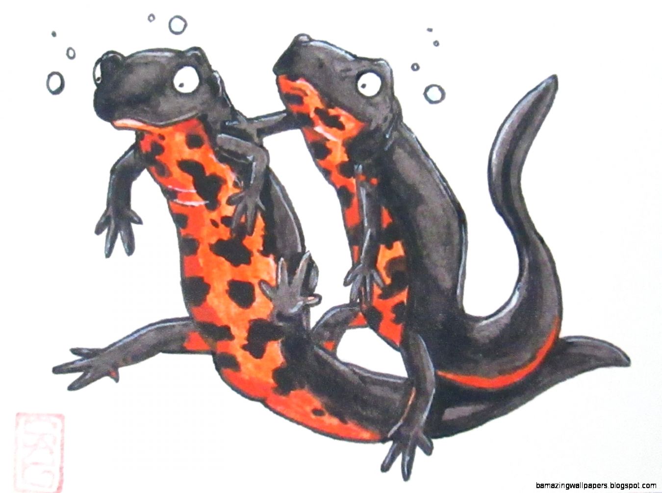 Popular items for salamander art on Etsy Popular items for salamander art on Etsy