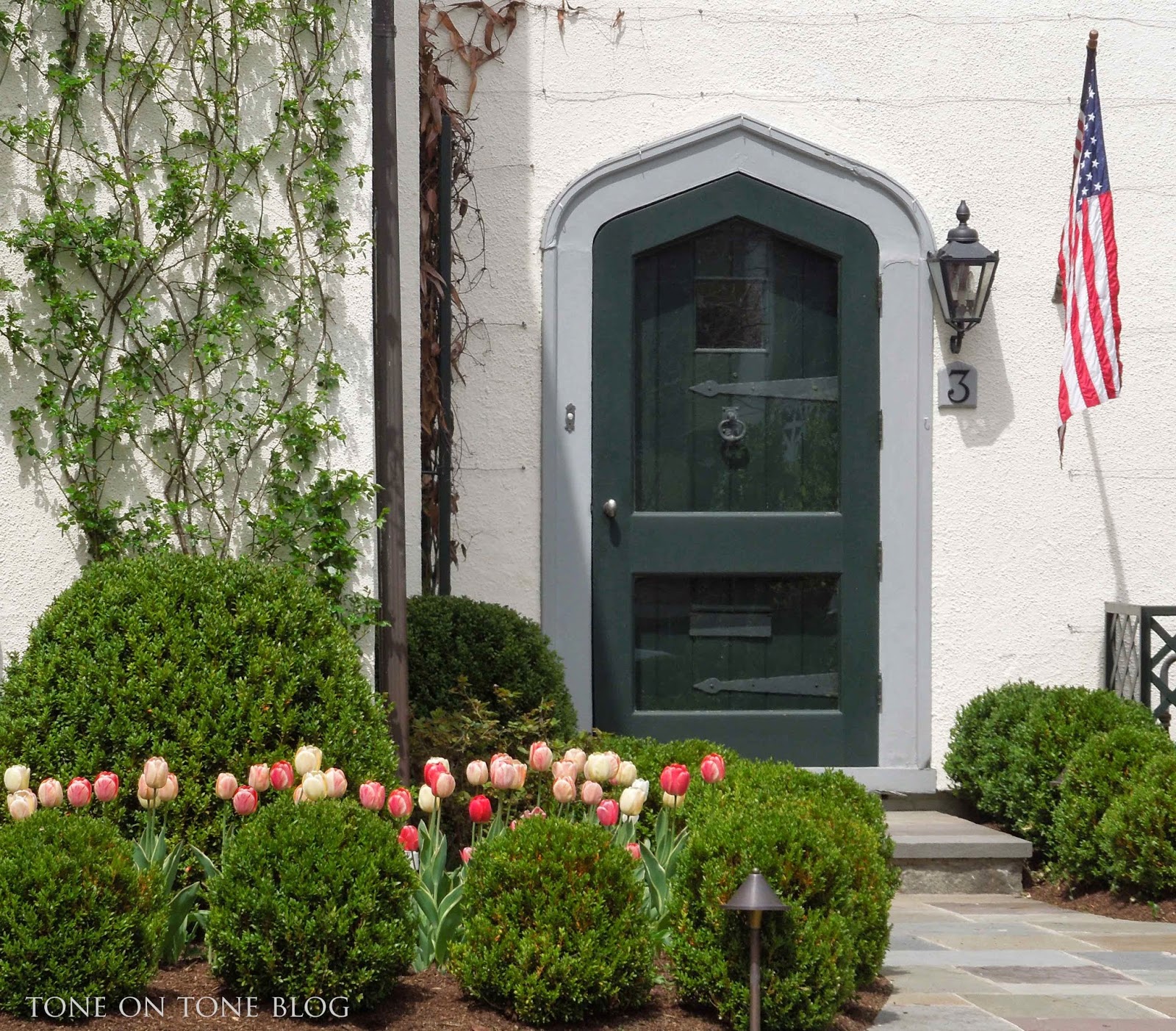 Tone on Tone Storm Doors Ideas and Inspirations