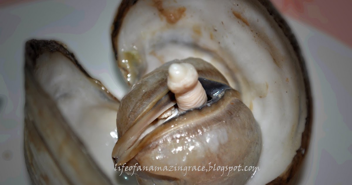 Grace Balderas Surprisingly funny scallop!