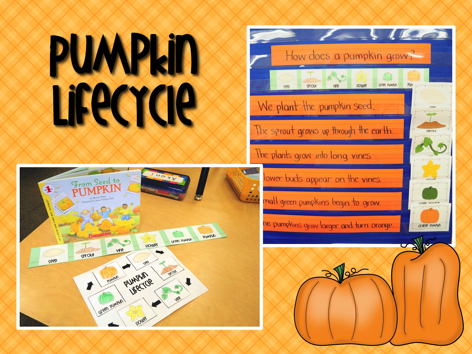 Mrs. Ricca�s Kindergarten Pumpkins Unit FREEBIE &amp; Halloween Centers