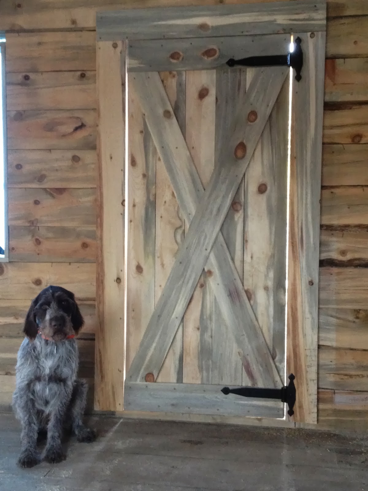 Cabin Door & Close Up Of Old Log Cabin Door / Old Cabin Door / Close Up