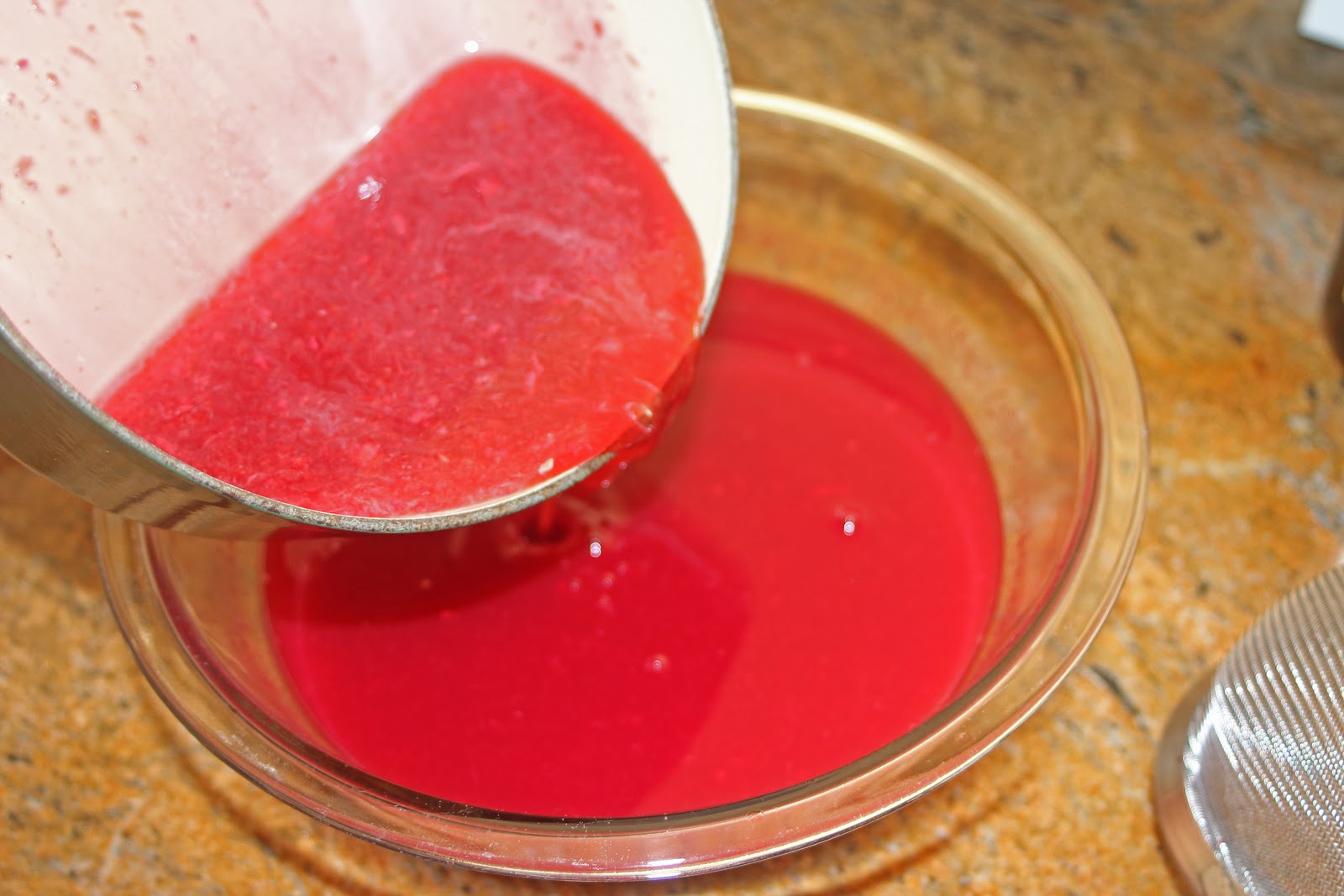 The Grub Files Cooking with Camissonia Blood Orange Sorbet