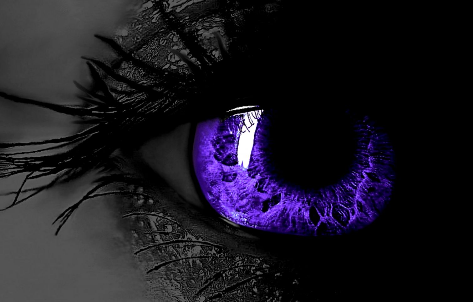 Black and Purple Wallpaper HD 2381 HD Wallpapers Site Black and Purple Wallpaper HD 2381 HD Wallpapers Site