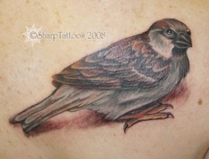 http://3.bp.blogspot.com/-rf7lSqHsmKA/TaOFAWO_0qI/AAAAAAAAAv8/rBzycCqxUR8/s1600/sparrow-tattoos-4.jpg