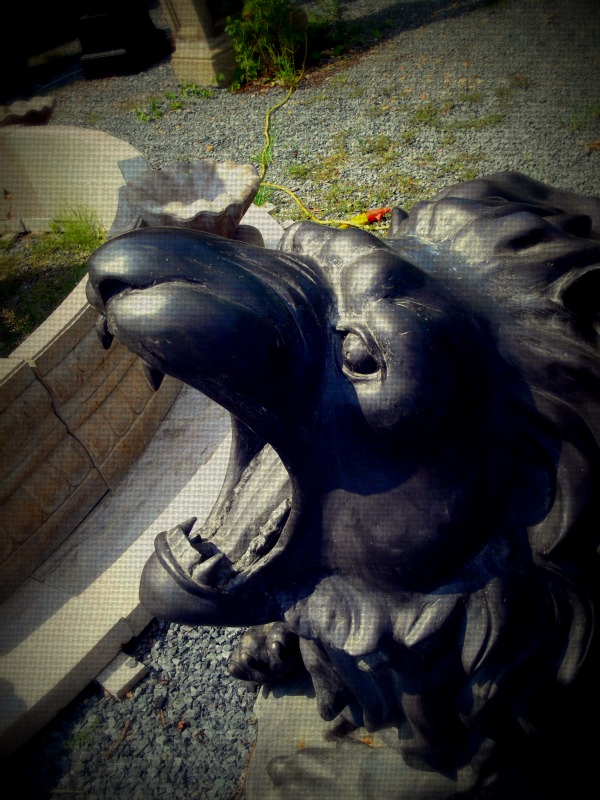 Pretty Things The Random Post