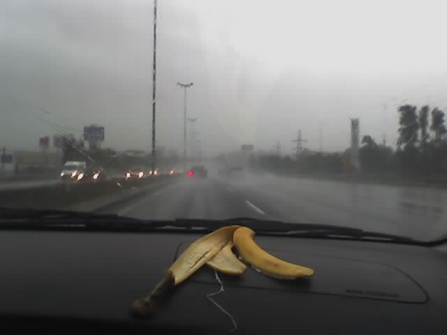 Rain Banana Skin