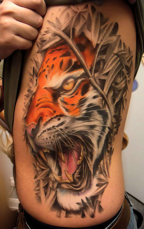 Lion Tattoo Designs Lion Tattoo Designs