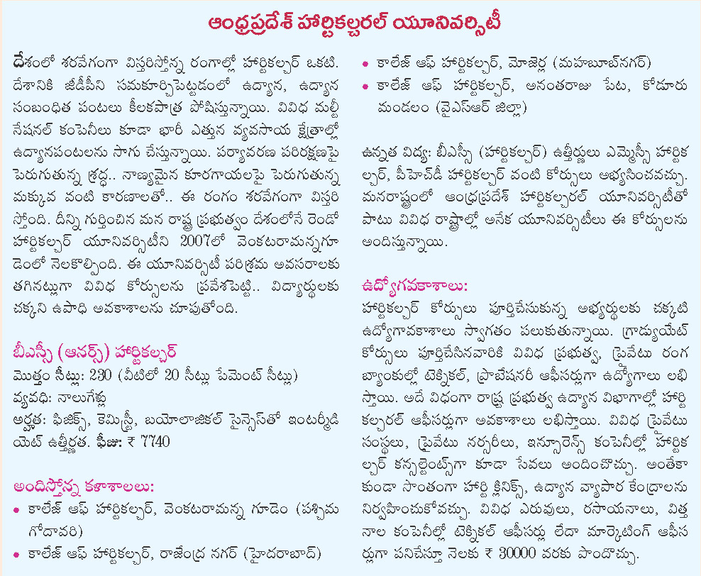 Valves question essay 07 picture