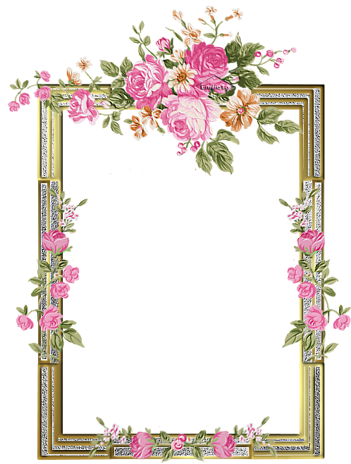 Emilieta Psp Marco Floral De Mi Creacion En Png