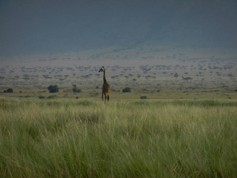 Park Masai Mara