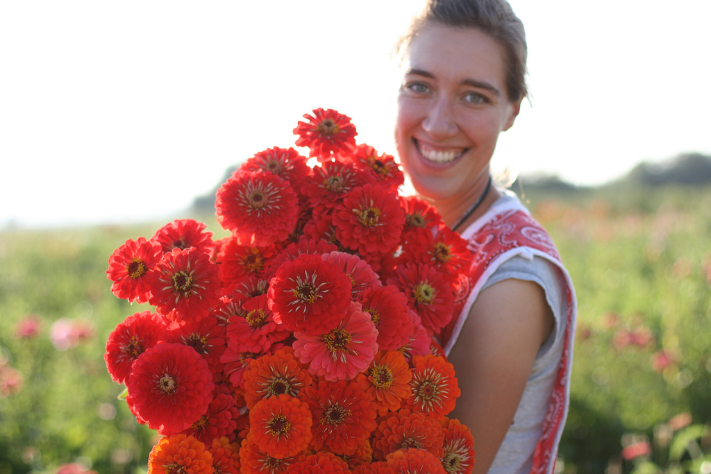 paradis express Floret Organic flower farm