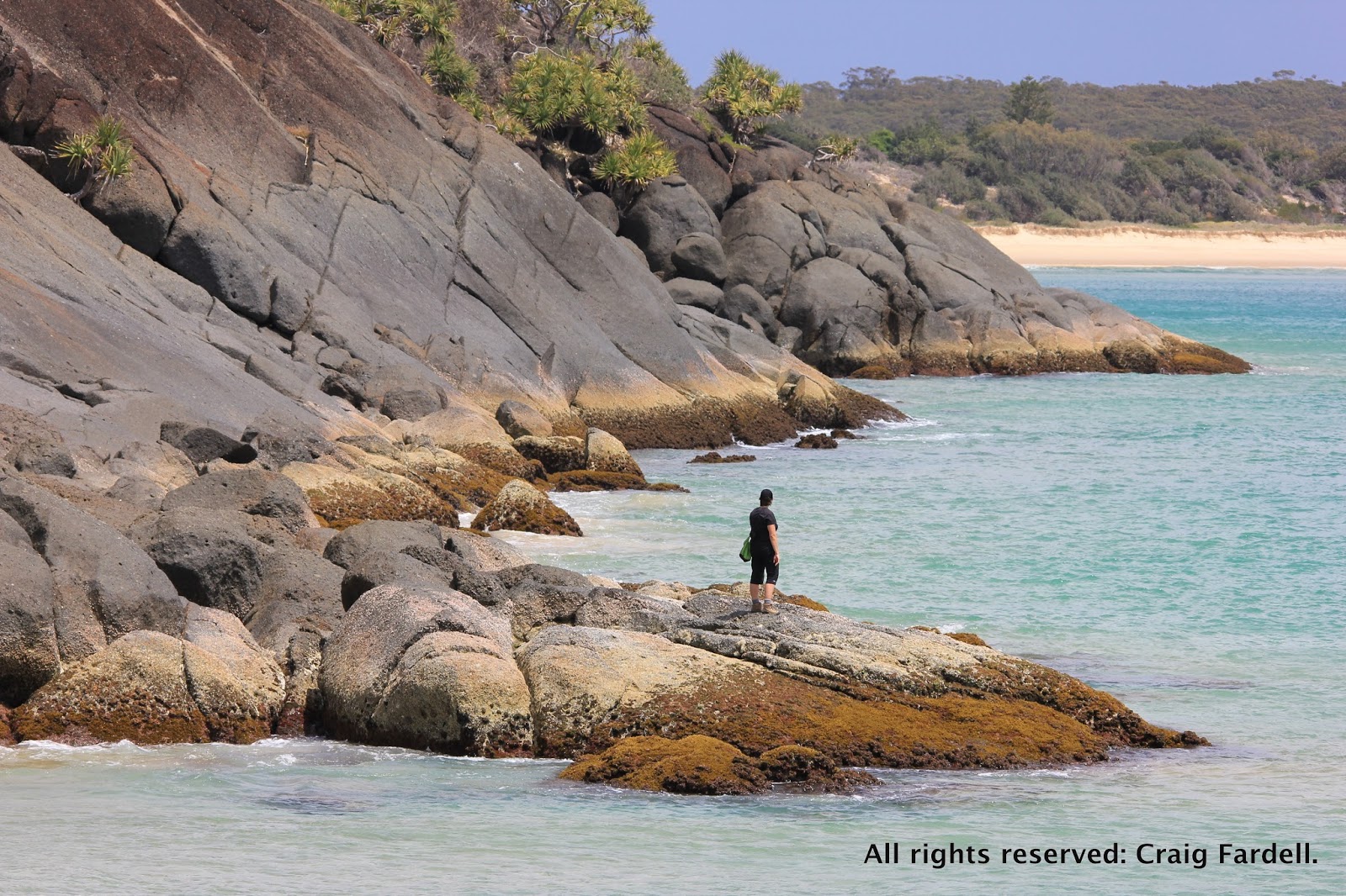 awildland Hat Head National Park Connors Track